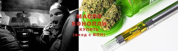 индика Баксан