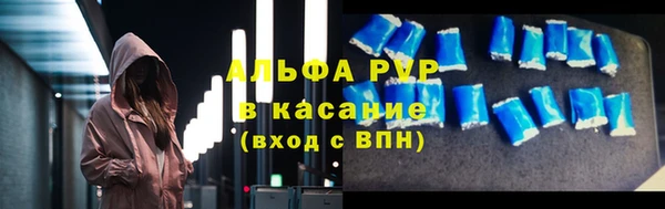 индика Баксан