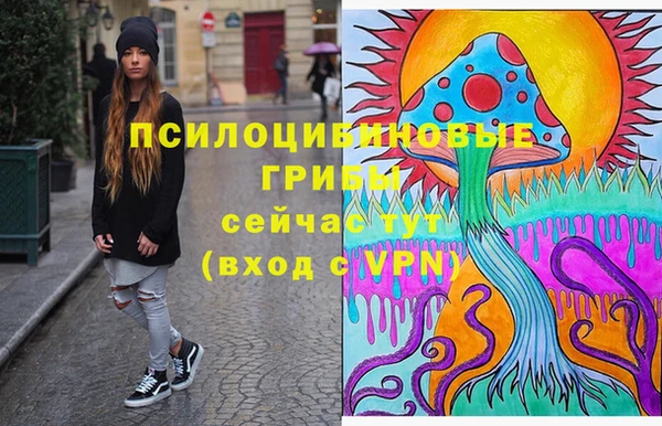 индика Баксан