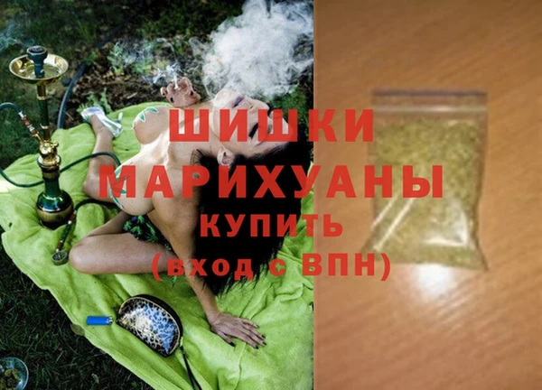 индика Баксан