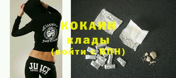 индика Баксан