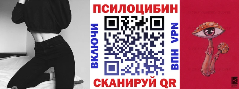 Галлюциногенные грибы Cubensis  цены наркотик  Хасавюрт 