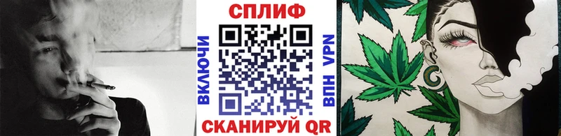 Марихуана тримм  ссылка на мегу ссылки  Хасавюрт  купить закладку 